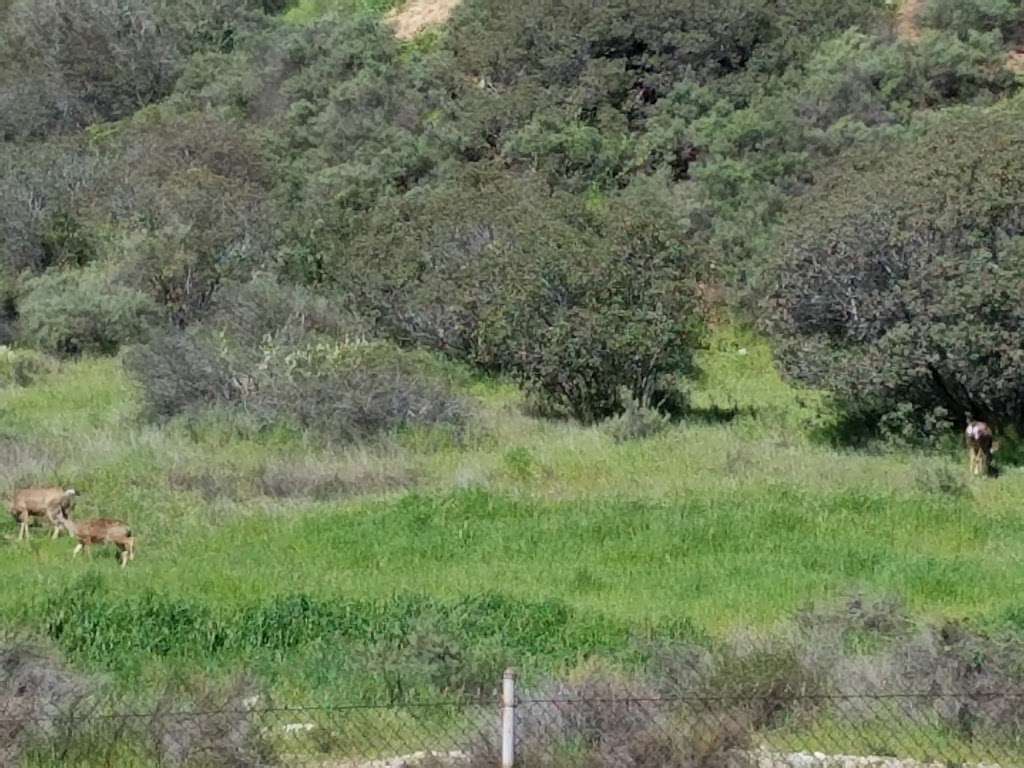 Claremont Hills Wilderness Park | 2575, 2599 N Indian Hill Blvd, Claremont, CA 91711, USA