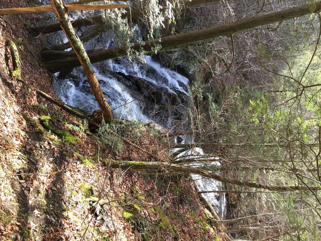 Hornbecks Trail | Hornbecks Creek, 18328, Dingmans Ferry, PA 18328, USA