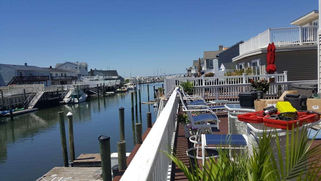 Pork Island Wildlife Management Area | Longport, NJ 08403