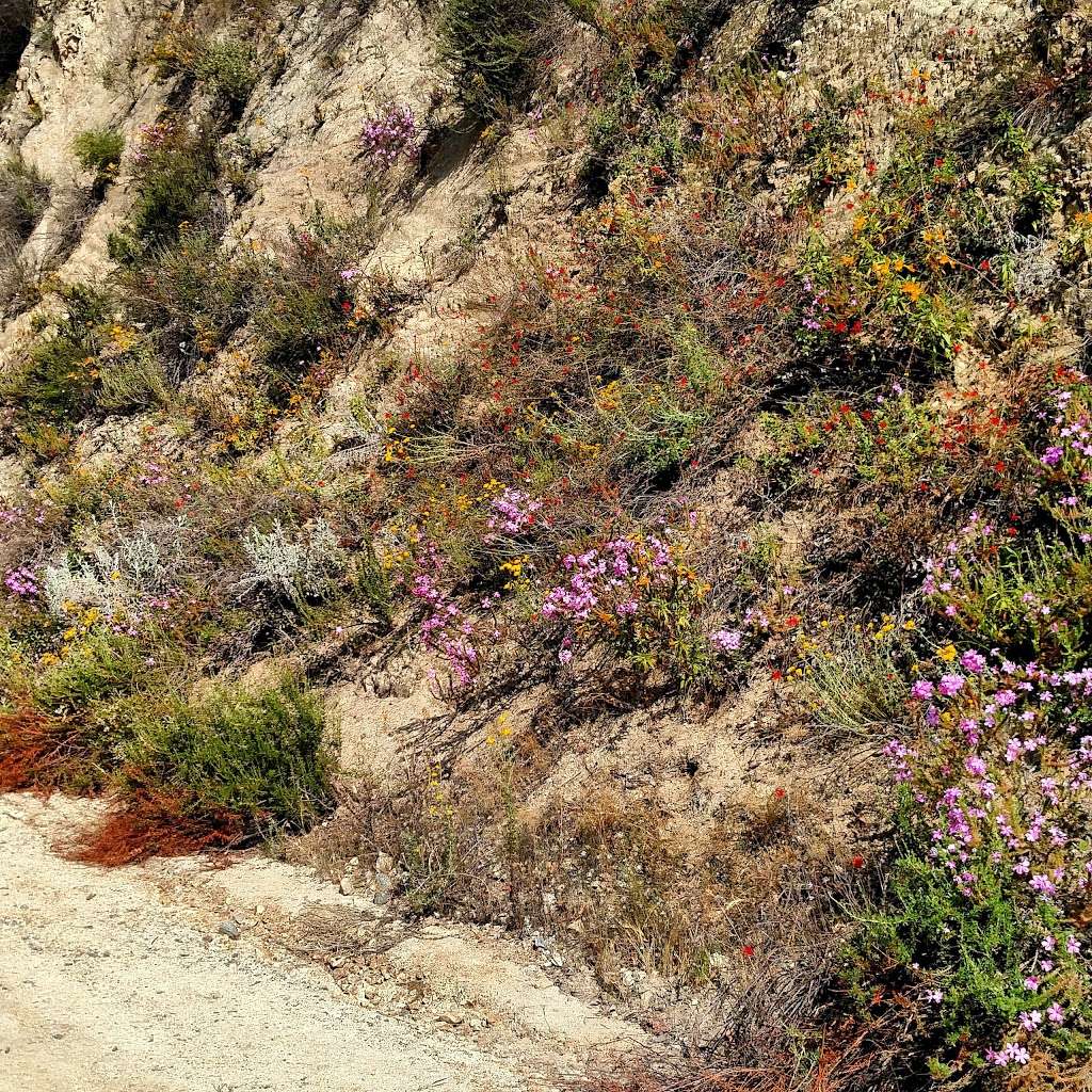 Tongva Peak | Glendale, CA 91207, USA