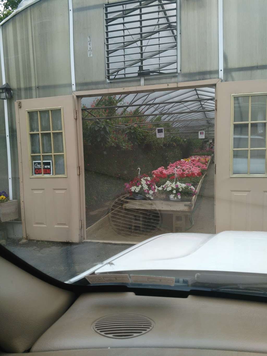 Rosazza Sons Florist & Greenhouses | 317 New St, Avondale, PA 19311, USA | Phone: (610) 268-0610