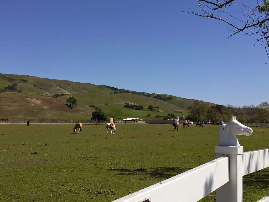 Coyote Creek Trail | Coyote Creek Trail, San Jose, CA 95138, USA