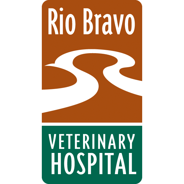 Rio Bravo Veterinary Hospital | 240 Rio Bravo Blvd SE, Albuquerque, NM 87105, USA | Phone: (505) 877-8370