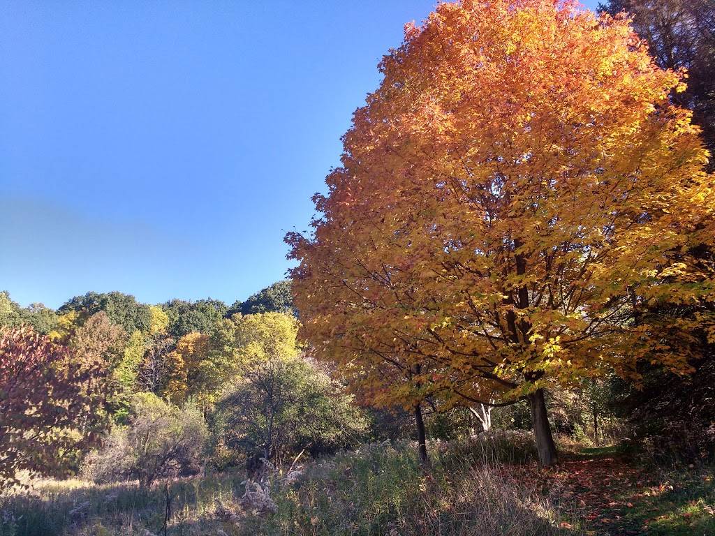 Pleasant Hills Arboretum | Pleasant Hills, PA 15236, USA | Phone: (412) 655-3300
