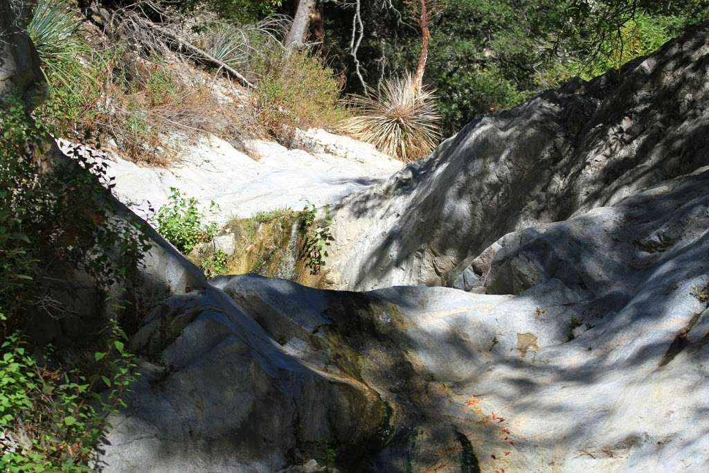 Switzer Picnic Area | Switzer Truck Trail, Altadena, CA 91001, USA