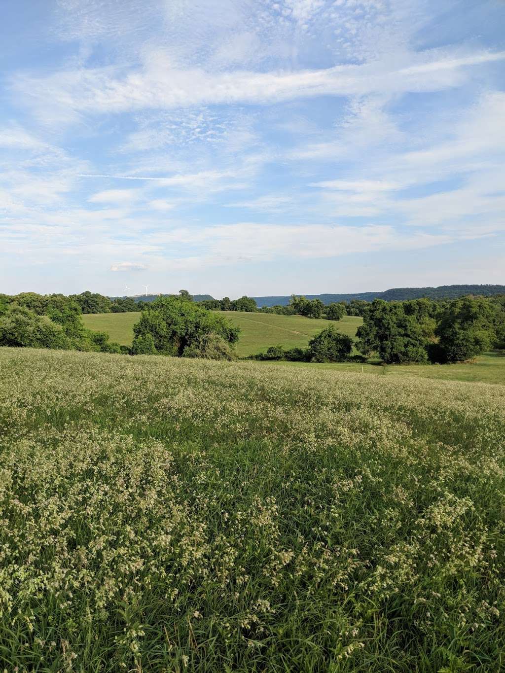 Native Lands Park | 1664 Long Level Rd, Wrightsville, PA 17368, USA | Phone: (717) 840-7440