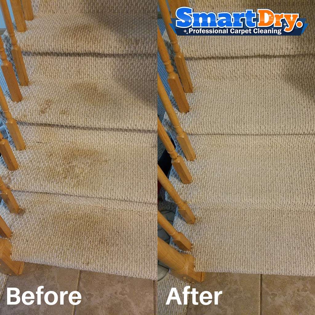 Smart Dry Carpet Cleaning Del Mar | 2775 Via De La Valle #200, Del Mar, CA 92014, USA | Phone: (858) 213-0007