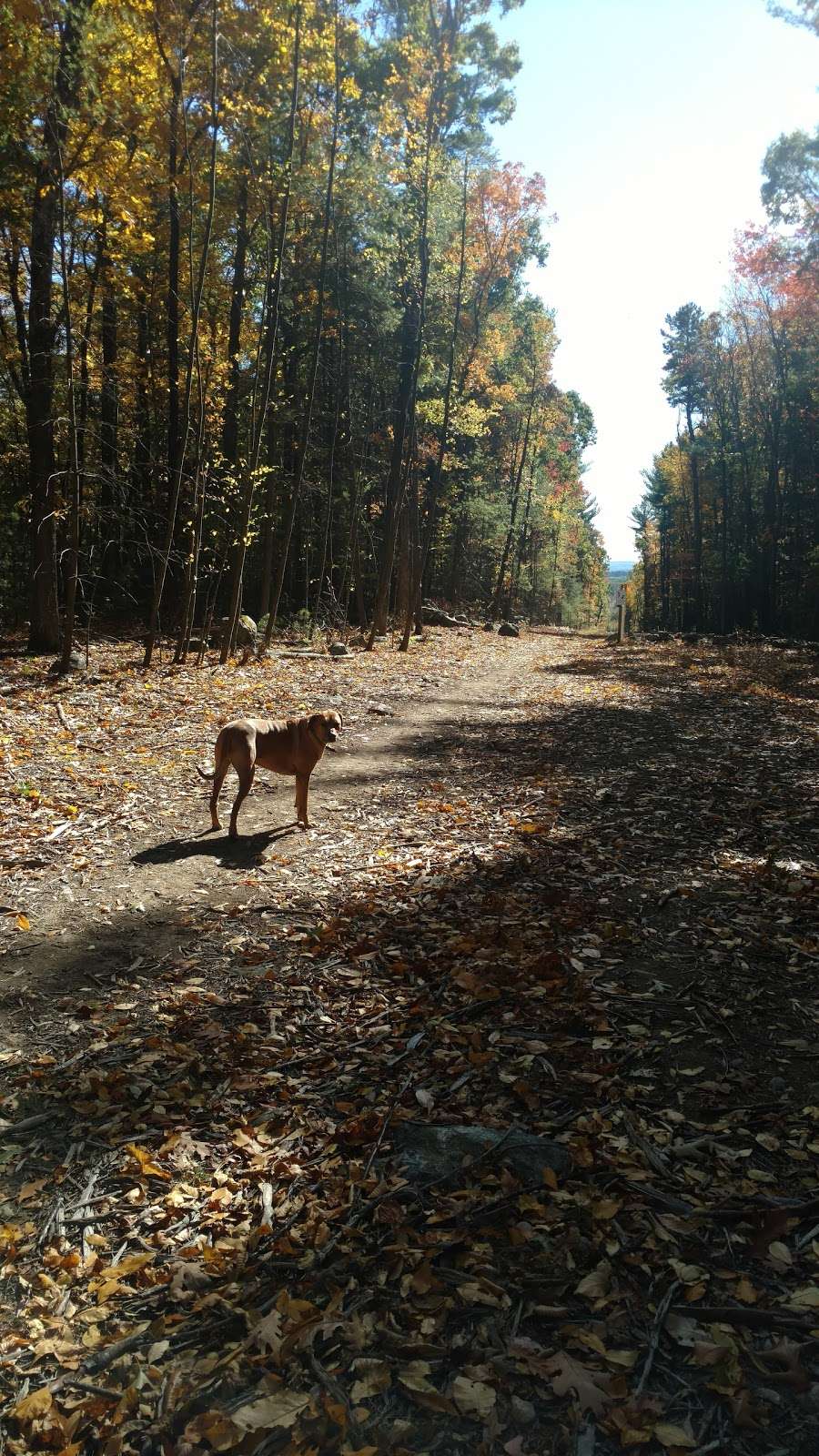 Callahan State Park | 1048 Edmands Rd, Framingham, MA 01701, USA | Phone: (508) 653-9641