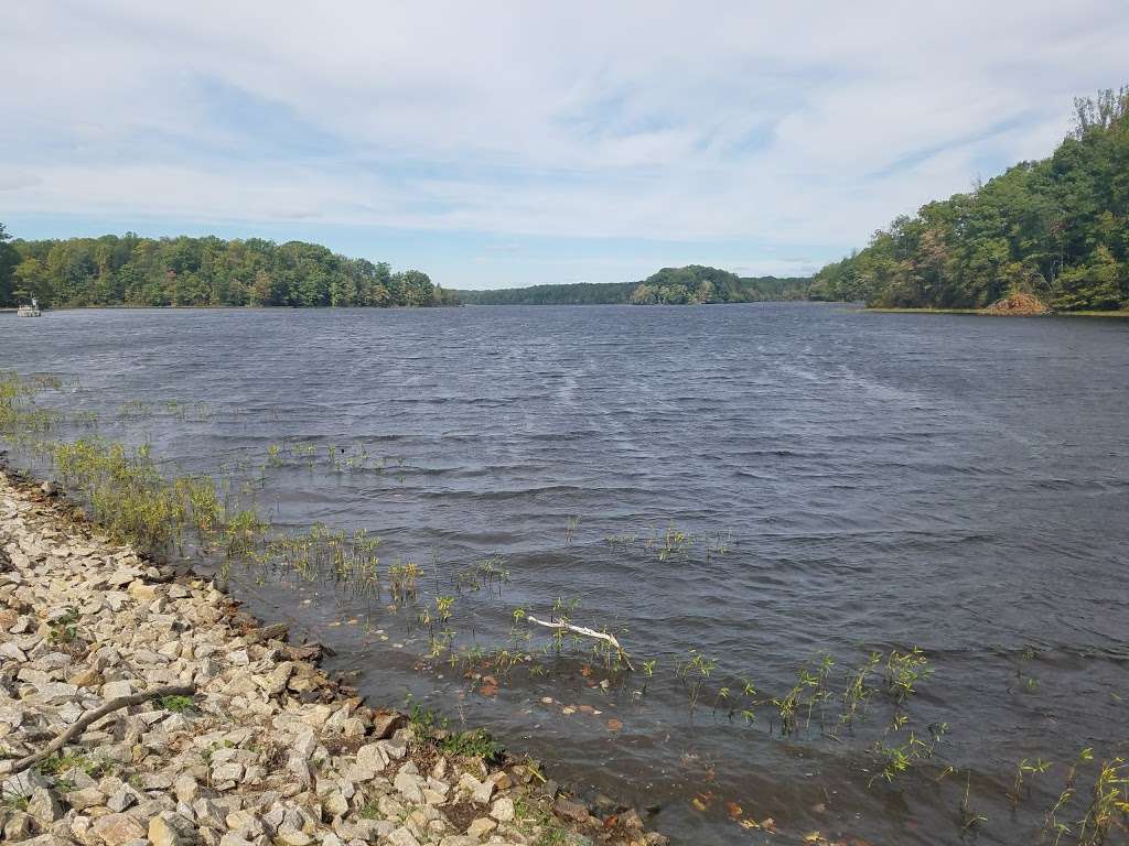 Burke Lake Park Shelter C | Burke Lake Park, Ox Road, Fairfax Station, VA, Fairfax Station, VA 22039 | Phone: (703) 324-8732