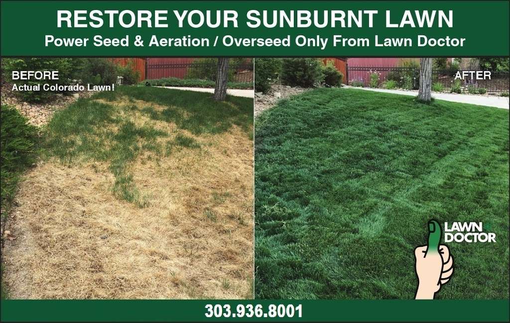 Lawn Doctor - Lakewood | 5315 W Mississippi Ave, Lakewood, CO 80226 | Phone: (303) 936-8001