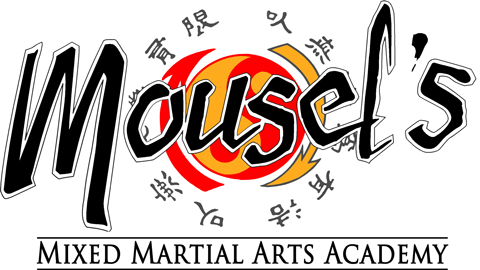 Mousels Self-Defense Academy | 1113 Vine St #140B, Houston, TX 77002, USA