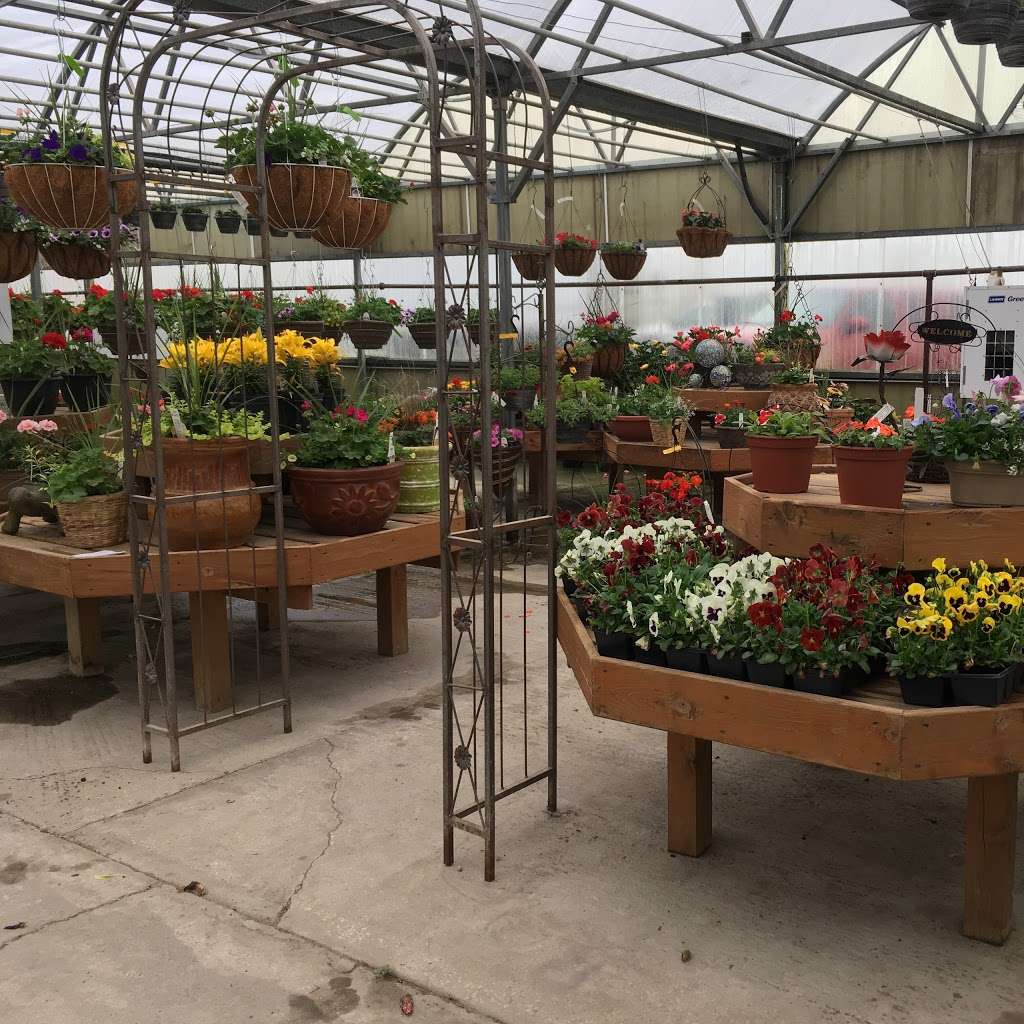 Van Kalker Farms & Greenhouses | 1808 E Joe Orr Rd, Chicago Heights, IL 60411 | Phone: (708) 758-1732