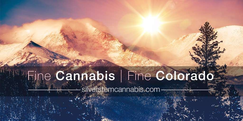 Silver Stem Fine Cannabis Denver SW Dispensary | 3700 W Quincy Ave, Denver, CO 80236, USA | Phone: (303) 734-0420