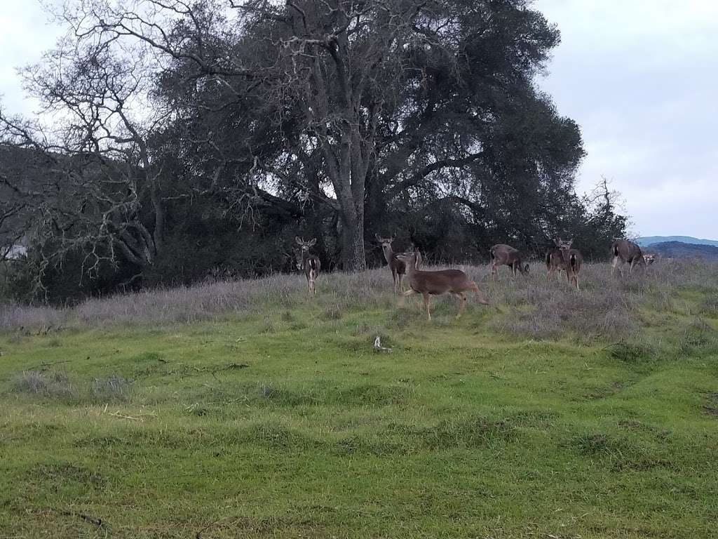 Quicksilver park parking | Unnamed Road, San Jose, CA 95120