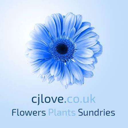 CJ Love Wholesale Florist | 57 N Cray Rd, Bexley, Sidcup DA14 5EU, UK | Phone: 020 8300 8422