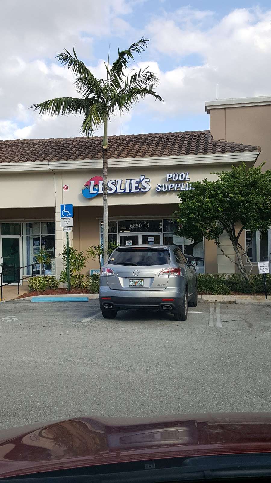 Leslies Pool Supplies, Service & Repair | 6250 Lantana Rd, Lake Worth, FL 33463, USA | Phone: (561) 304-1210