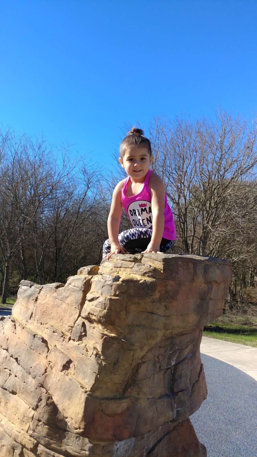 northampton converse tx