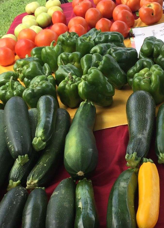 Franklin Township Community Farmers Market | 475 Demott Ln, Somerset, NJ 08873, USA | Phone: (732) 873-2500