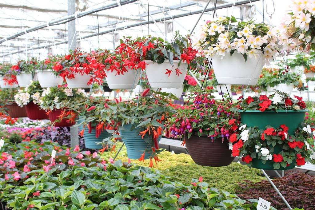 Wengers Greenhouse | 150 Wissler Rd, Lititz, PA 17543, USA | Phone: (717) 733-8658