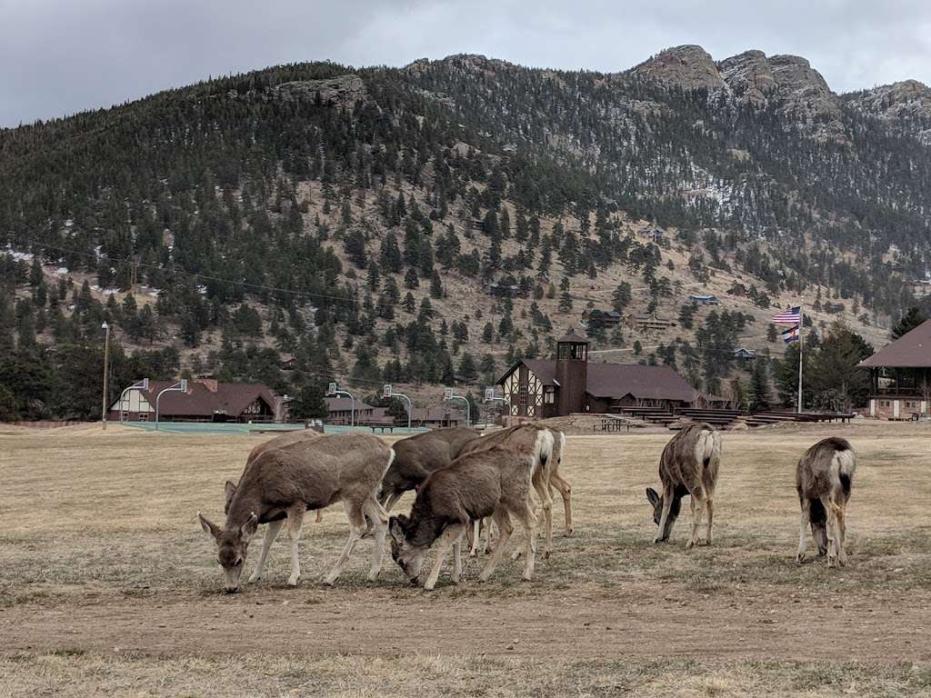 YMCA of the Rockies | 2515 Tunnel Rd, Estes Park, CO 80511, USA | Phone: (970) 586-3341