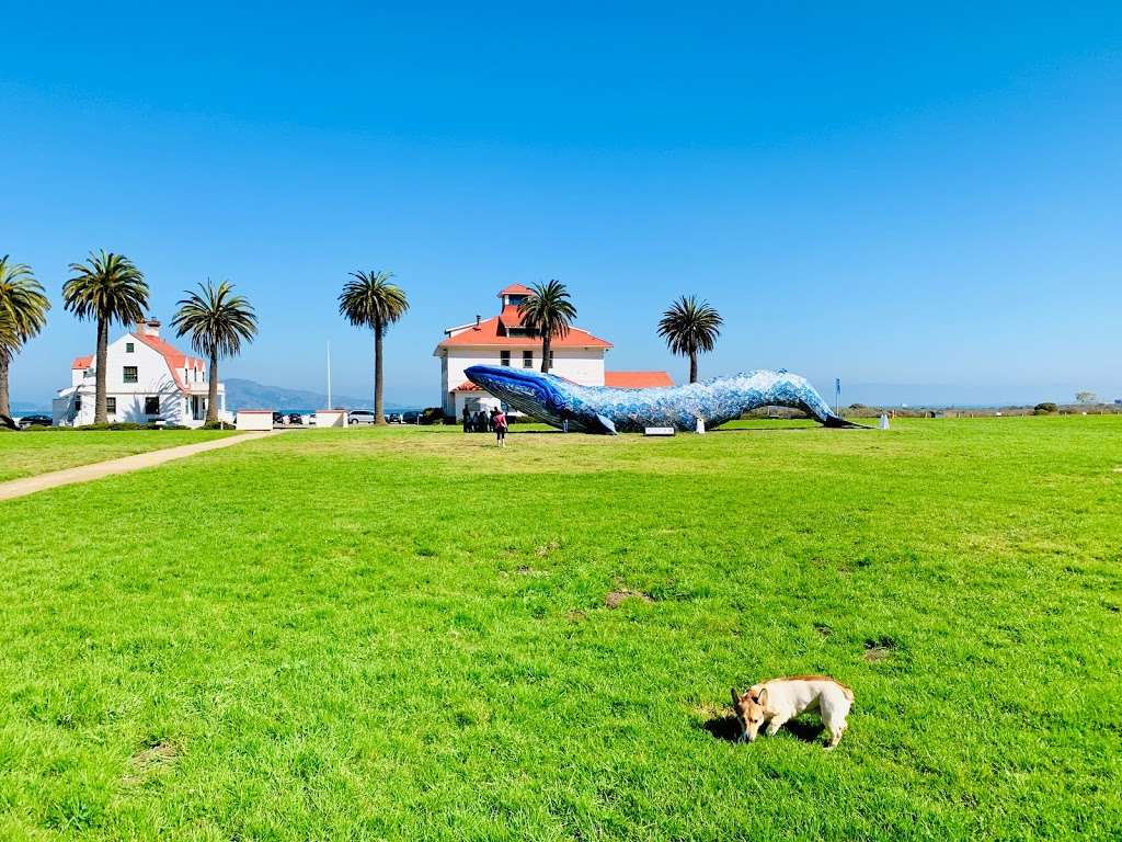 Crissy Field East Beach | San Francisco, CA 94129 | Phone: (415) 561-4323