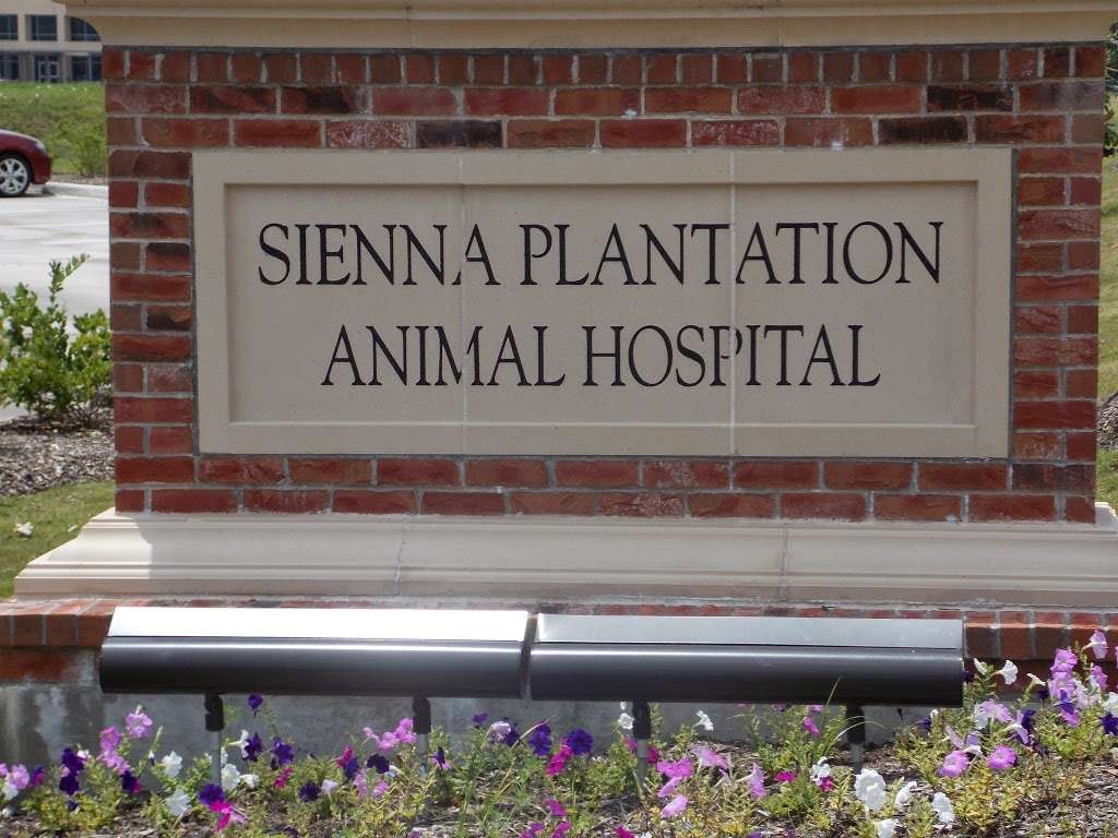 Sienna Plantation Animal Hospital | 9212 Sienna Ranch Rd, Missouri City, TX 77459 | Phone: (281) 771-0700
