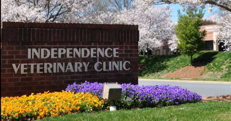 Independence Veterinary Clinic | 2328 Crownpoint Executive Dr, Charlotte, NC 28227, USA | Phone: (704) 841-1313