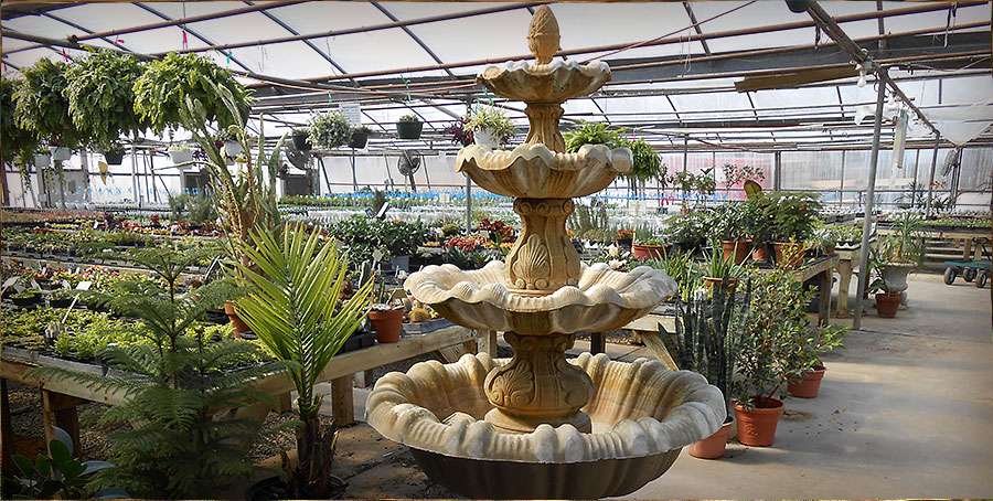 Davidson Greenhouse & Nursery Inc | 3147 E Ladoga Rd, Crawfordsville, IN 47933, USA | Phone: (765) 364-0556