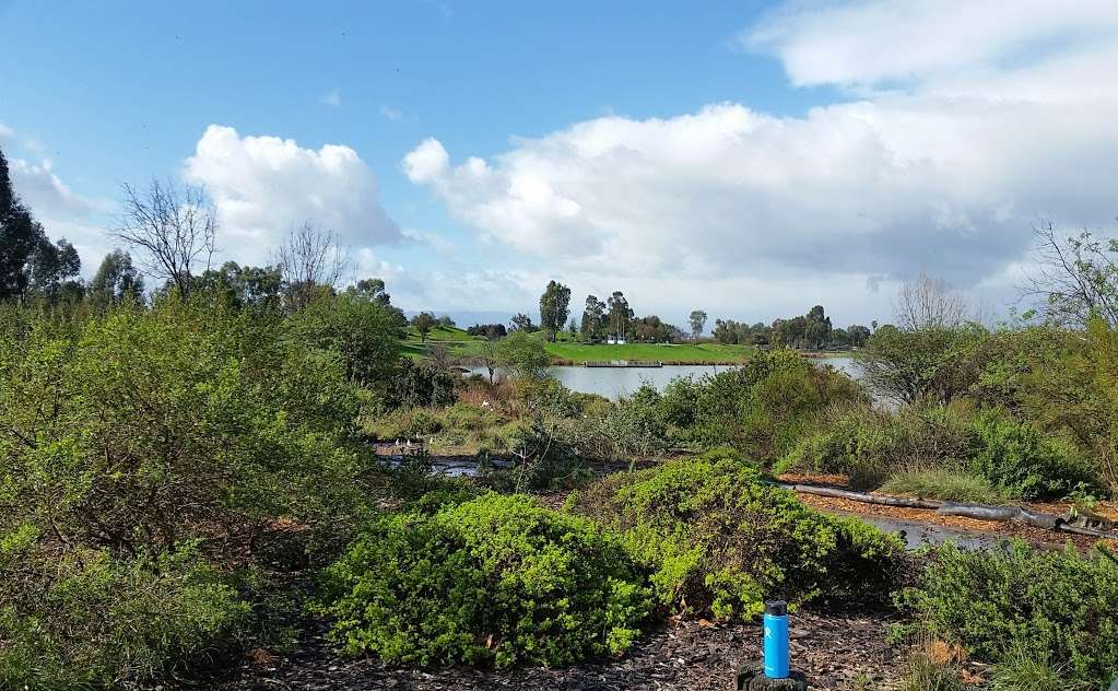 Lake Cunningham Native Garden | 2305 S White Rd, San Jose, CA 95148, USA | Phone: (408) 794-7565