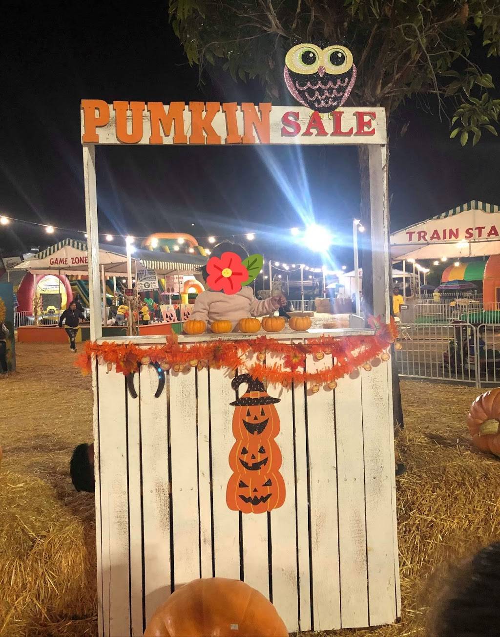 Pumpkin Patch National City, Pumpkins National City | 3030 Plaza Bonita Rd, National City, CA 91950, USA | Phone: (858) 566-7466