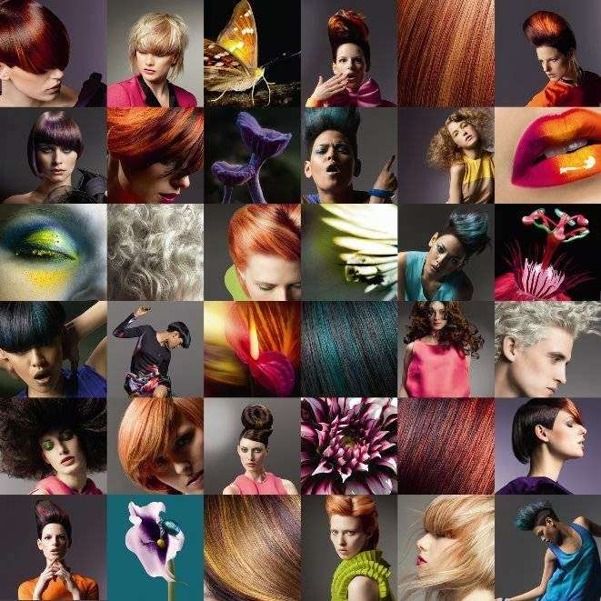 Accent Hair Design 15802 Old Statesville Rd Huntersville Nc 28078 Usa