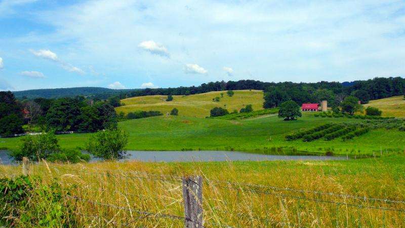 Valley View Farm | 1550 Leeds Manor Rd, Delaplane, VA 20144, USA | Phone: (540) 592-1021