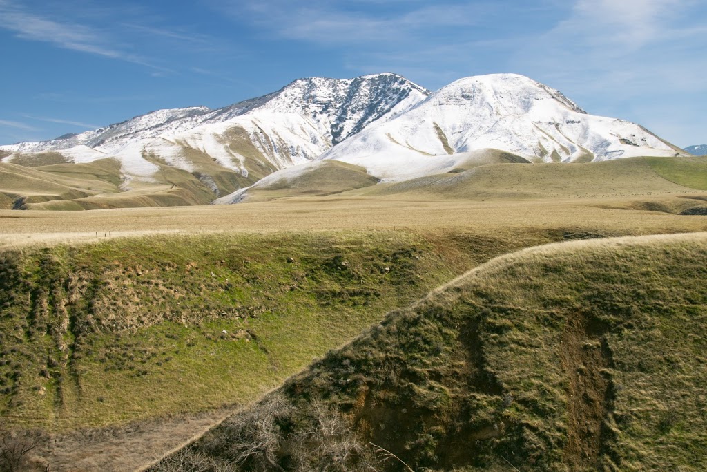 Wind Wolves Preserve | 16019 CA-166, Bakersfield, CA 93311, USA | Phone: (661) 858-1115