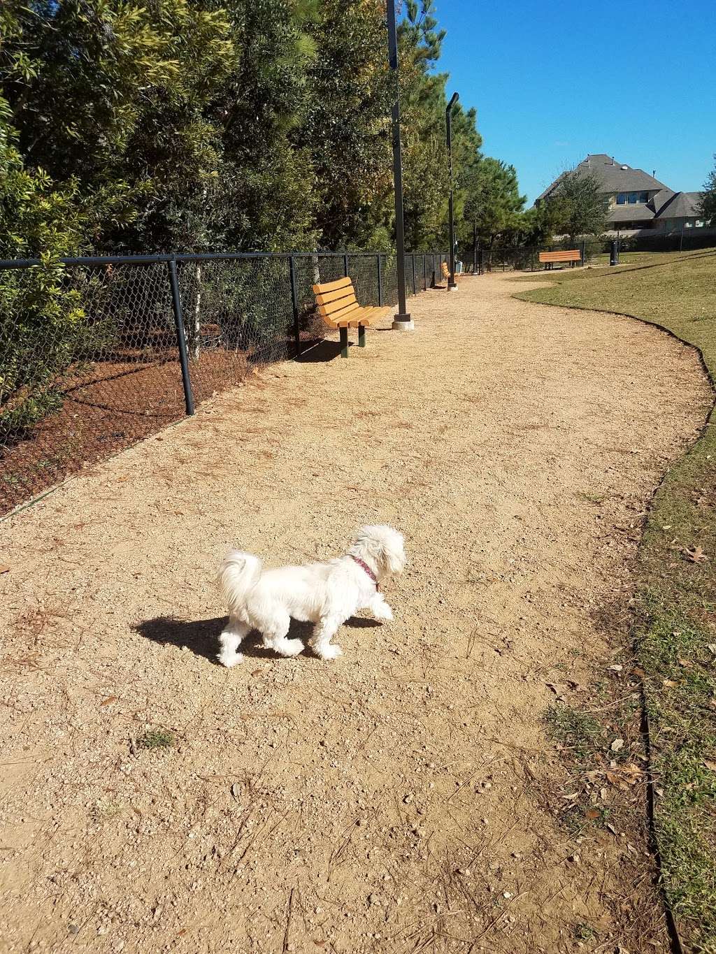 Fairfield Dog Park | 16819 E Green Ripple Cir, Cypress, TX 77433 | Phone: (713) 932-1122