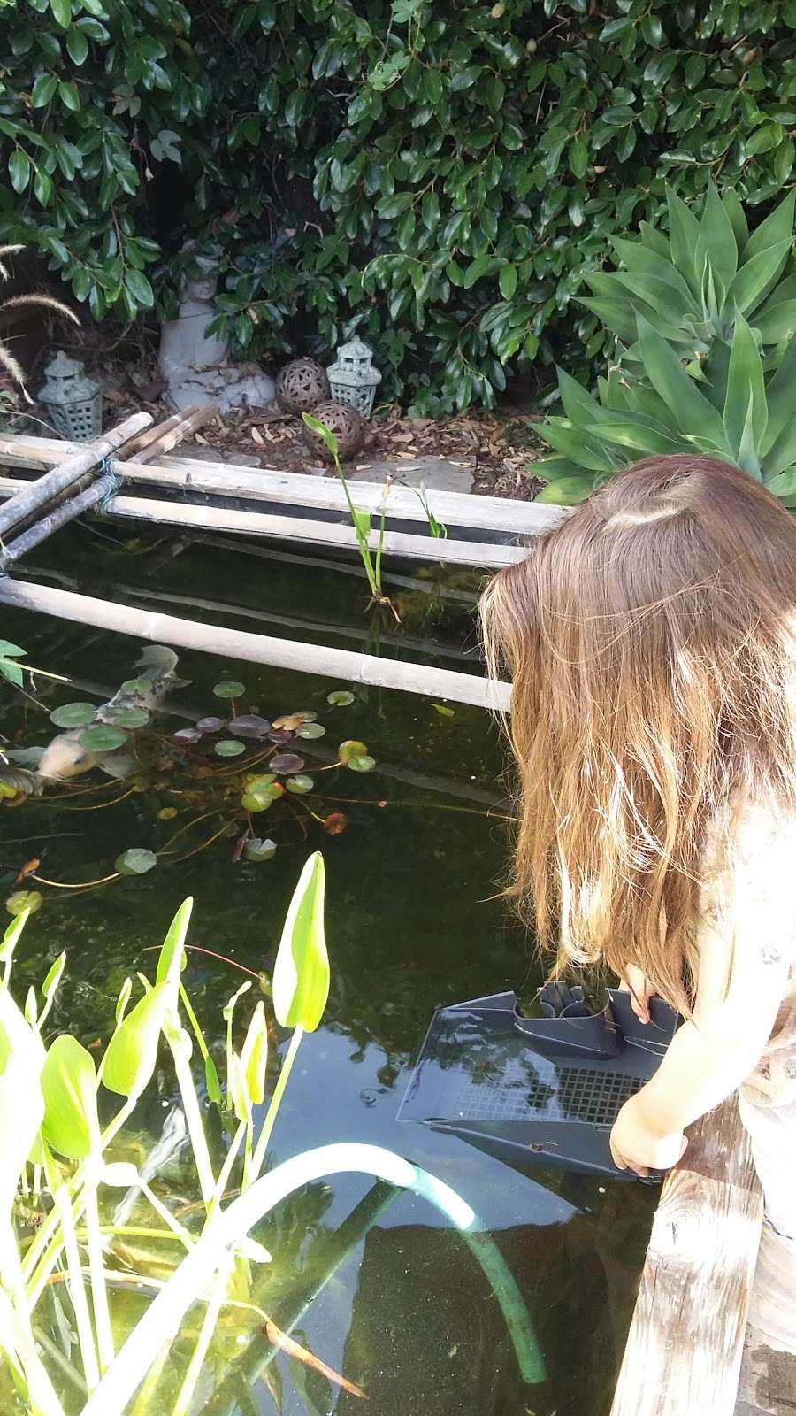 Stairs To Hollywood BLVD | 5683 Tryon Rd, Los Angeles, CA 90068, USA