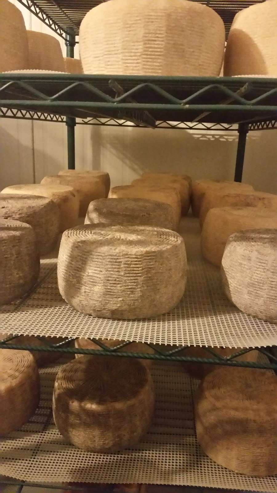 Tulip Tree Creamery | 6330 Corporate Dr, Indianapolis, IN 46278, USA | Phone: (317) 331-5469