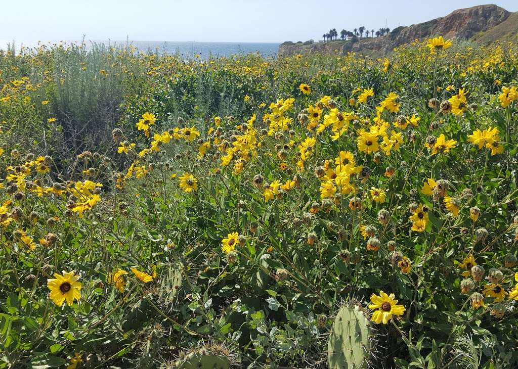 Terranea Bluff Top Park | Rancho Palos Verdes, CA 90275