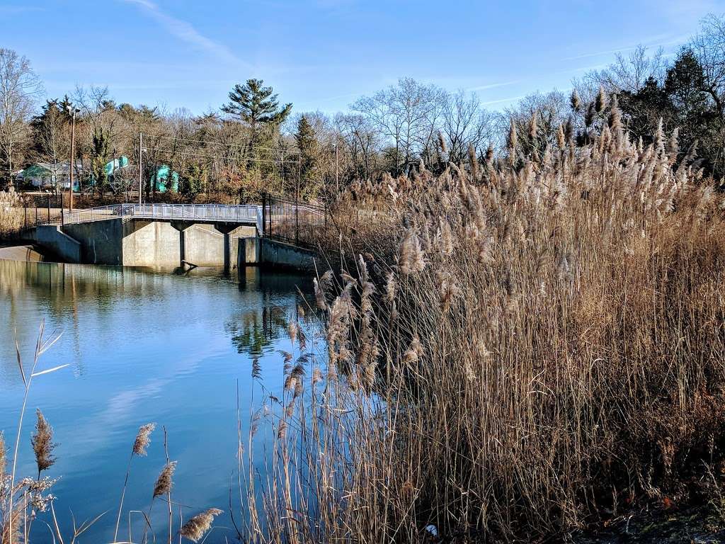 Mary Elmer Lake | Bridgeton, NJ 08302, USA