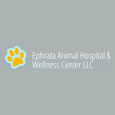 Ephrata Animal Hospital & Wellness Centerllc | 776 E Main St, Ephrata, PA 17522, USA | Phone: (717) 733-1078