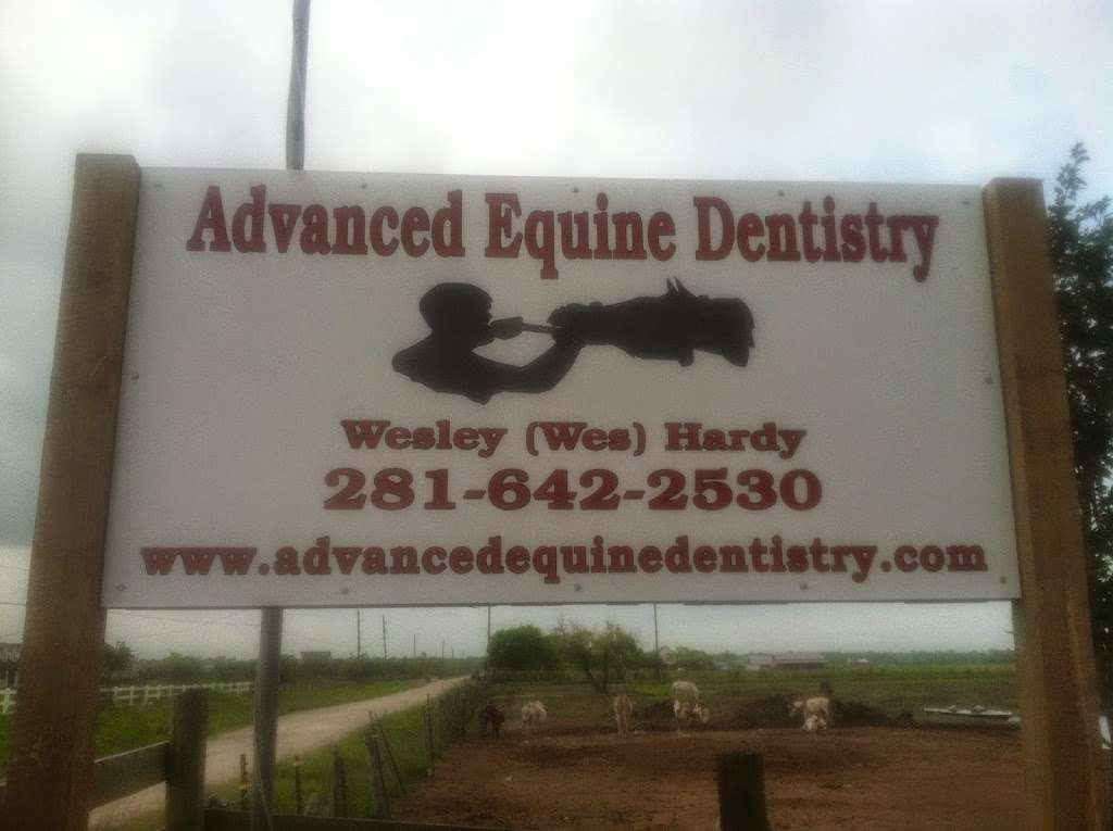 Advanced Equine Dentistry | 6602 Bar O Ranch Rd, Santa Fe, TX 77517, USA | Phone: (281) 642-2530