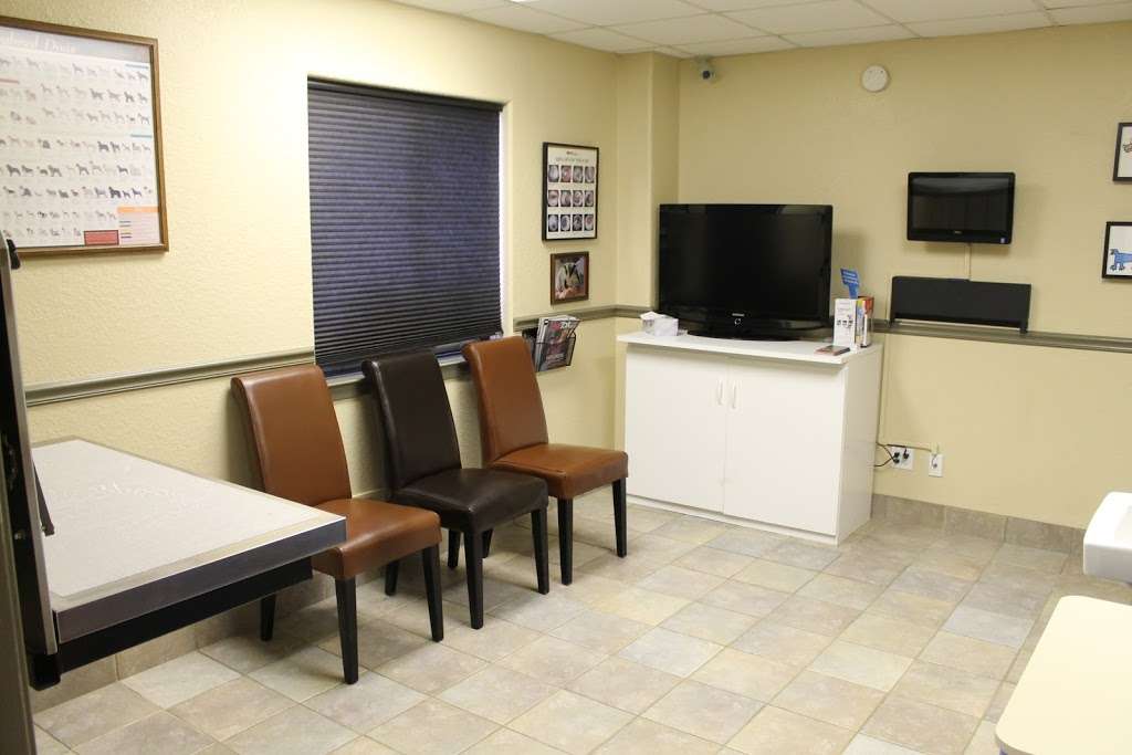 Animal Kingdom Pet Hospital | 551 W League City Pkwy, League City, TX 77573, USA | Phone: (281) 554-7200