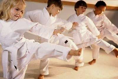 Medina Kenpo Karate | 151 S State Rd, Springfield, PA 19064, USA | Phone: (610) 543-0544