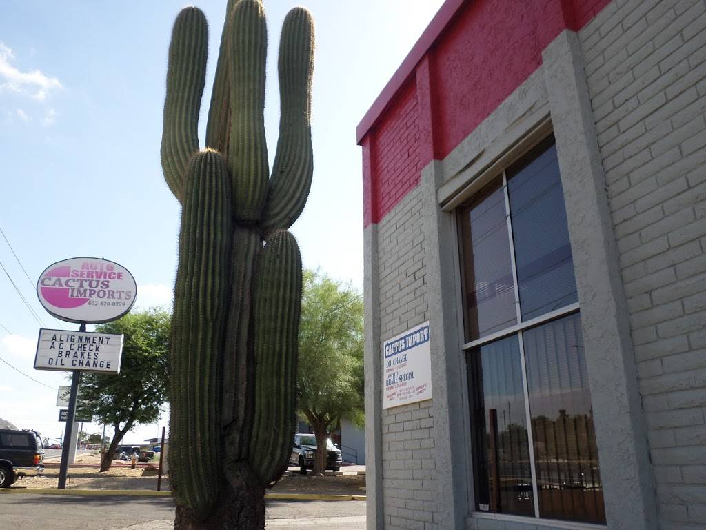 Cactus Imports | 11835 N Cave Creek Rd, Phoenix, AZ 85020, USA | Phone: (602) 870-0229