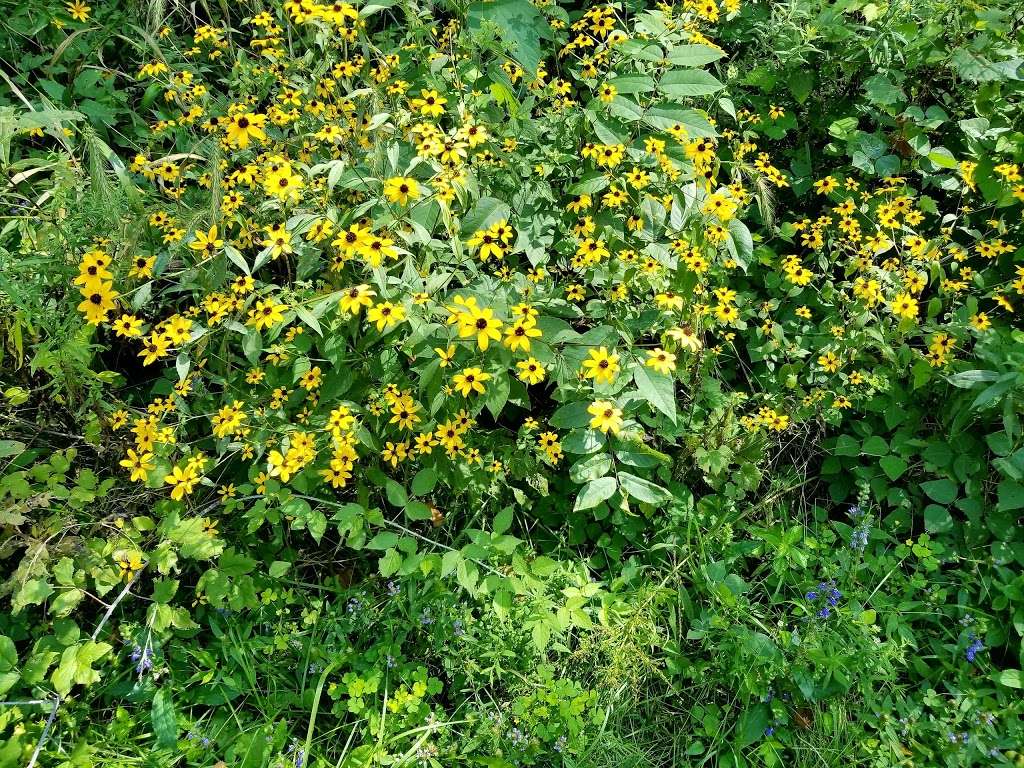 Twin Bridges Loop Trail | East CR-200 South, Danville, IN 46122, USA