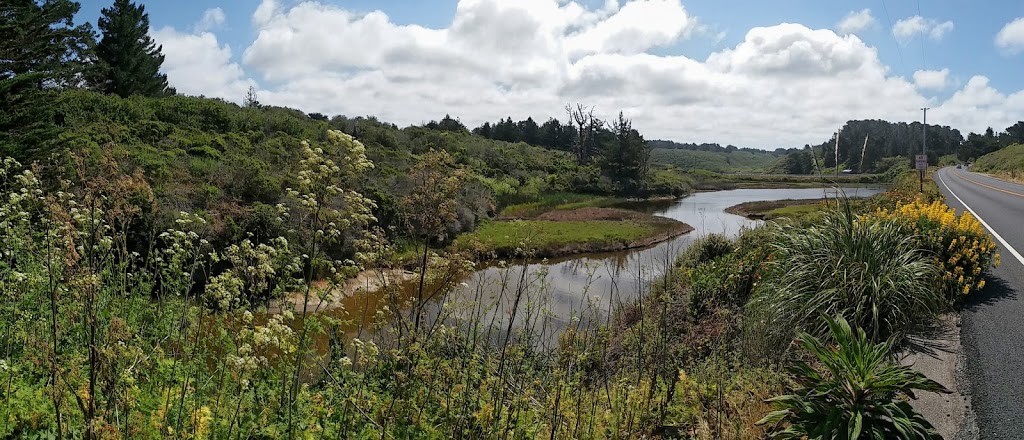 Bean Hollow State Beach | New Years Creek Rd, Pescadero, CA 94060, USA | Phone: (650) 726-8819