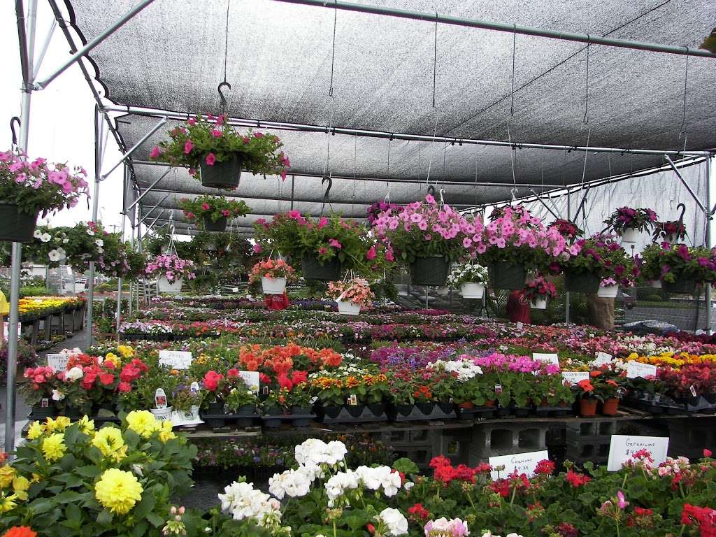 The Flower Station | 3500 Philmont Ave, Huntingdon Valley, PA 19006, USA | Phone: (215) 947-1866