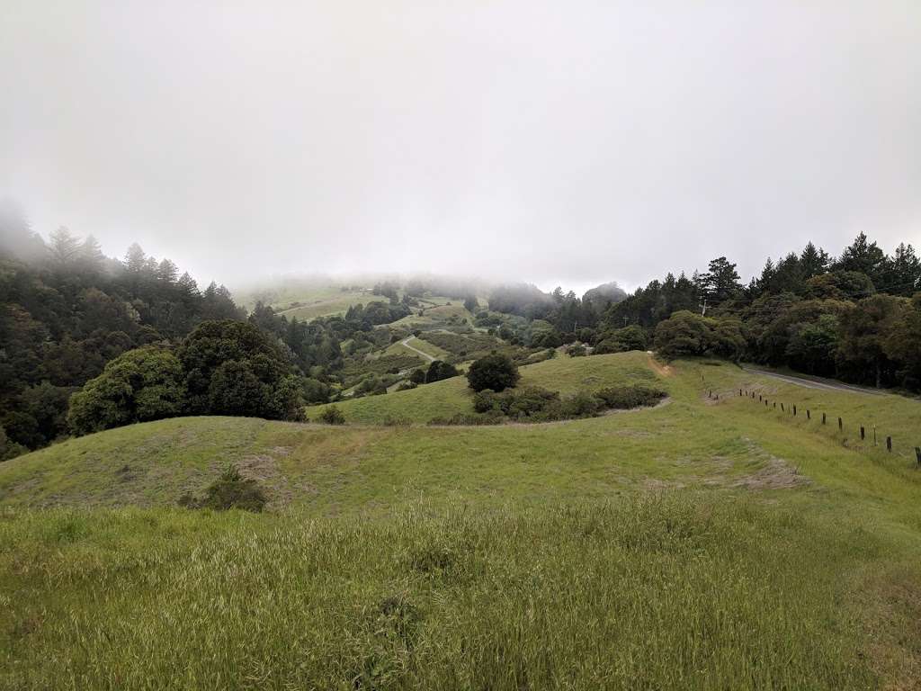 Long Ridge Open Space Preserve Peters Creek Trail Head | 37°1725."N ."W, 12209 US-15, 5, CA 94020, USA