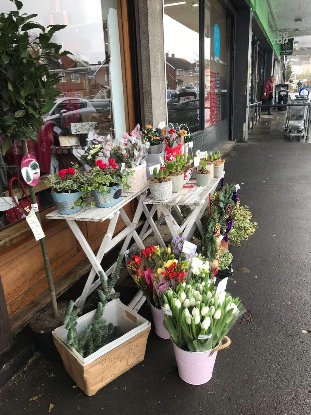 Arranged Flowers | 9 York Parade, Tonbridge TN10 3NP, UK | Phone: (017) 323-61555