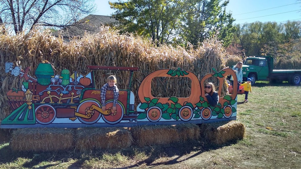 Rocky Mountain Pumpkin Ranch | 9059 Ute Hwy, Longmont, CO 80503, USA | Phone: (303) 684-0087