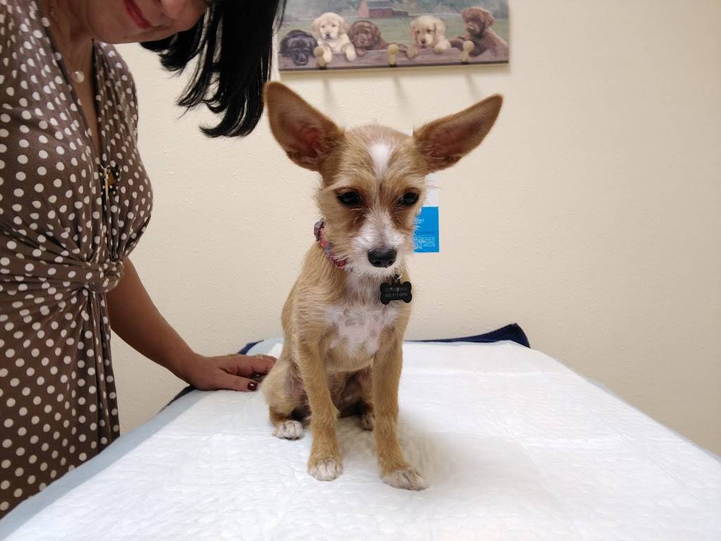 Willow Glen Pet Hospital | 1033 Willow St, San Jose, CA 95125, United States | Phone: (669) 342-7472